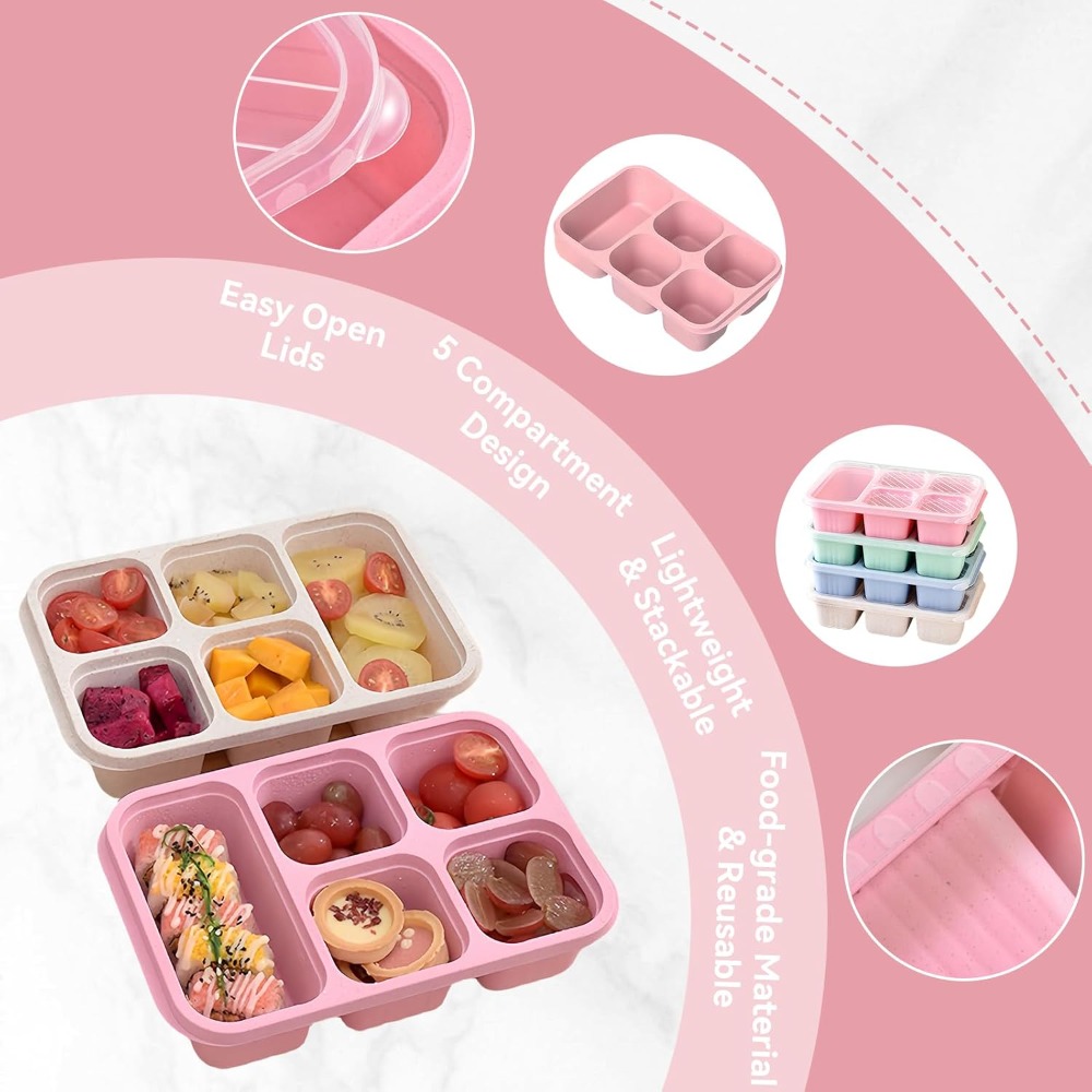 Lancheira Bento com 5 comparti - Snack Container Travel avaliação e preço
